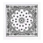 Rothco-Trainmen-Paisley-Bandana---White