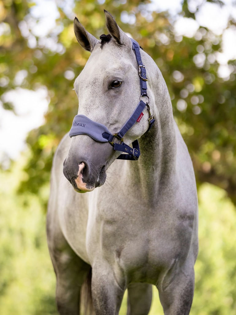 Lemieux-Vogue-Halter-Leadrope---Indigo