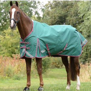 Weatherbeeta Comfitec Plus Dynamic II Standard Neck Lite - Green/Grey/Red