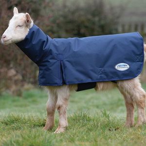 Weatherbeeta Goat Coat with Neck - Navy