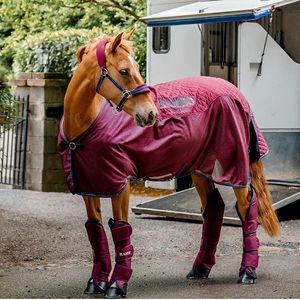 Rambo Travel Series 50g Lite Blanket - Burgundy