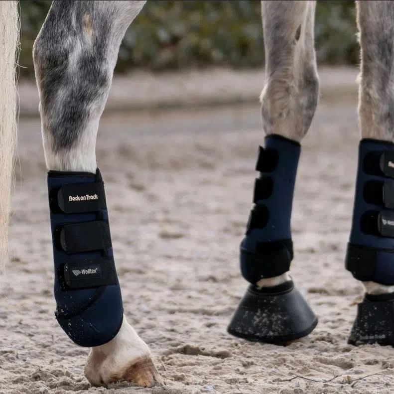 Opal Exercise Boots for Front Legs | Back On Track Canada