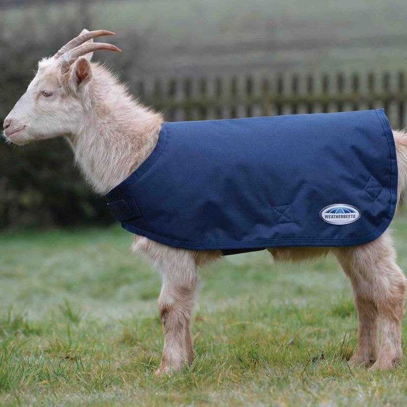 Weatherbeeta-Goat-Coat-with-Neck---Navy