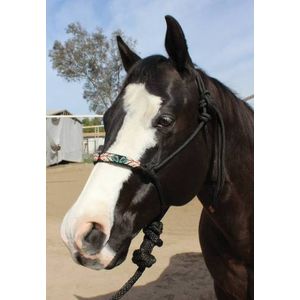 Professional's Choice Beaded Rope Halter - Black Feather