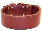 Omni-Pet-Regular-Latigo-Leather-Collar---Burgundy