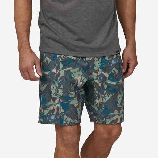 Patagonia on sale men shorts