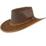 Barmah-1064