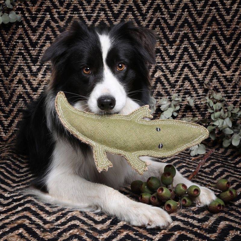 Outback-Tails-Animal-Toy---Steve-The-Crocodile