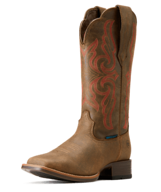 Ariat-Women-s-Primera-Stretchfit-H20---Pebble