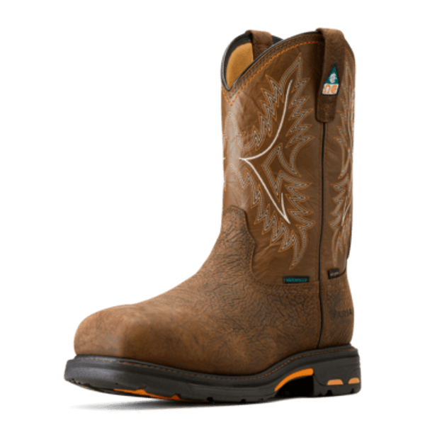 Ariat cassidy boots best sale