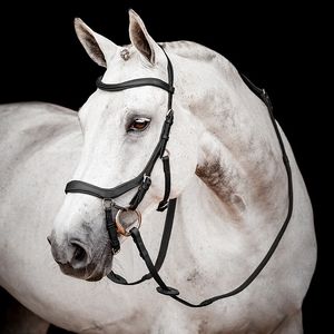 Micklem 2 Competition Bridle - Black