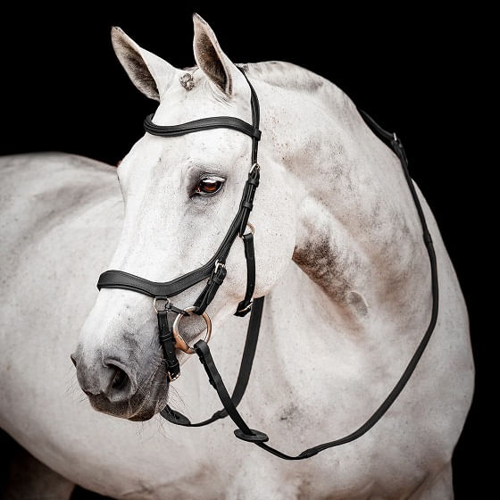 SBMOM2-K000-Horseware-micklem-2-competition-bridle-with-reins-black