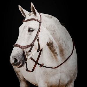 Micklem 2 Deluxe Competition Bridle - Dark Havana