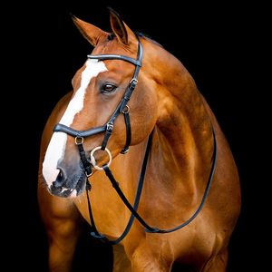 Micklem 2 Diamante Competition Bridle