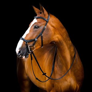 Micklem 2 Deluxe Competition Bridle - Black
