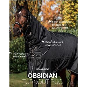 Back On Track Obsidian 150g Turnout Rug - Black