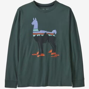Patagonia Kid's Long-Sleeved Graphic T-Shirt - Fitz Roy Guanaco: Nouveau Green