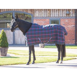 Shires Tempest Plus 100G Stable - Green Cheackers