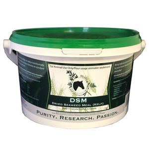 Digestion & Gut Health Supplement – Herbs for Horses DSM