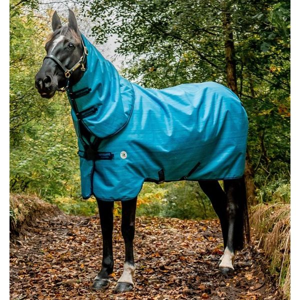 premier equine couverture magnétique rug