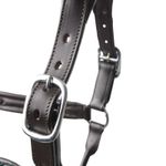 Horze-22355-JGR-buckle