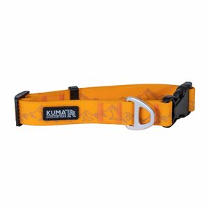 Kuma Soggy Dog Collar - Orange