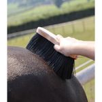Shires-1721-life