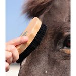 Shires-1723-life