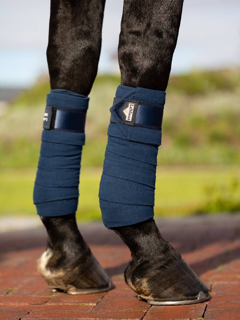 LeMieux-Loire-Polo-Bandages---Atlantic