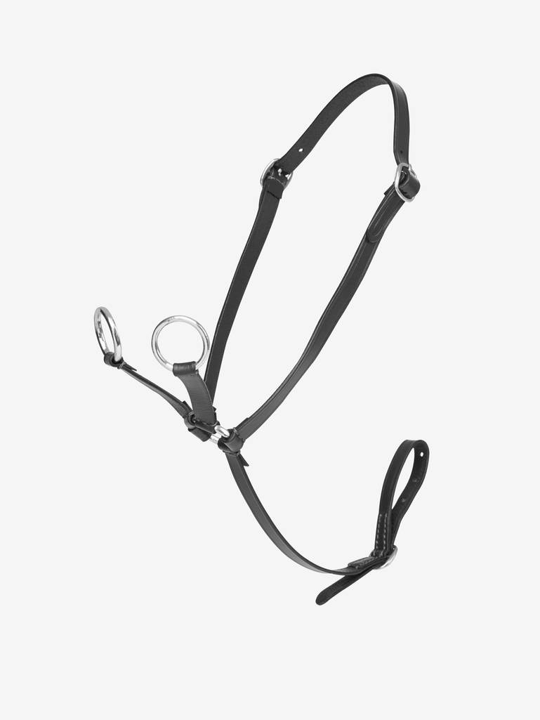 LeMieux-Toy-Pony-Martingale---Black