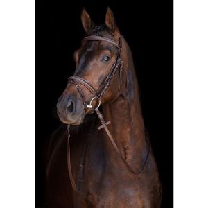 HKM Jana Bridle - Brown