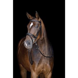 HKM Jana Bridle - Black