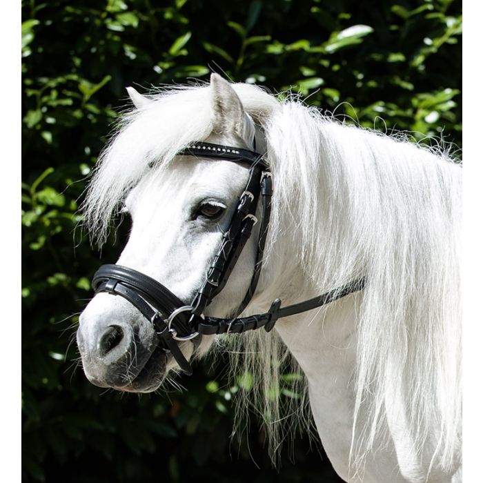 HKM-Mini-Shetty-Bridle---Black