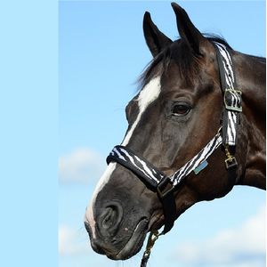 Bucas Freedom Comfort Halter