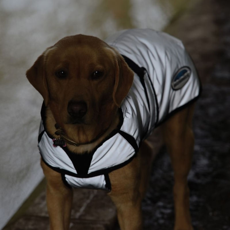 WB-1003603-reflective