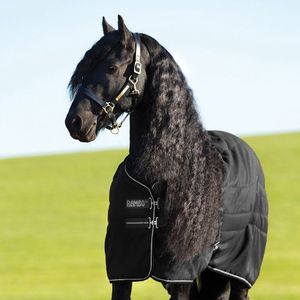 Rambo 100g Stable Rug - Black