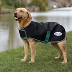 Weatherbeeta-Green-Tec-900D-Midweight-Dog-Coat---Black-Bottle-Green