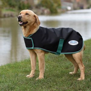 Weatherbeeta Green-Tec 900D Midweight Dog Coat - Black/Bottle Green