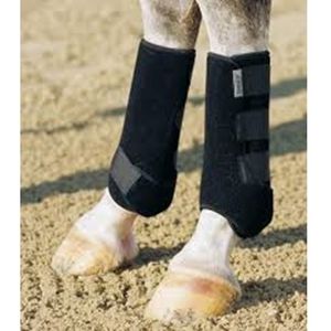 Eskadron Pro Dressage Boot Front or Hind - Black