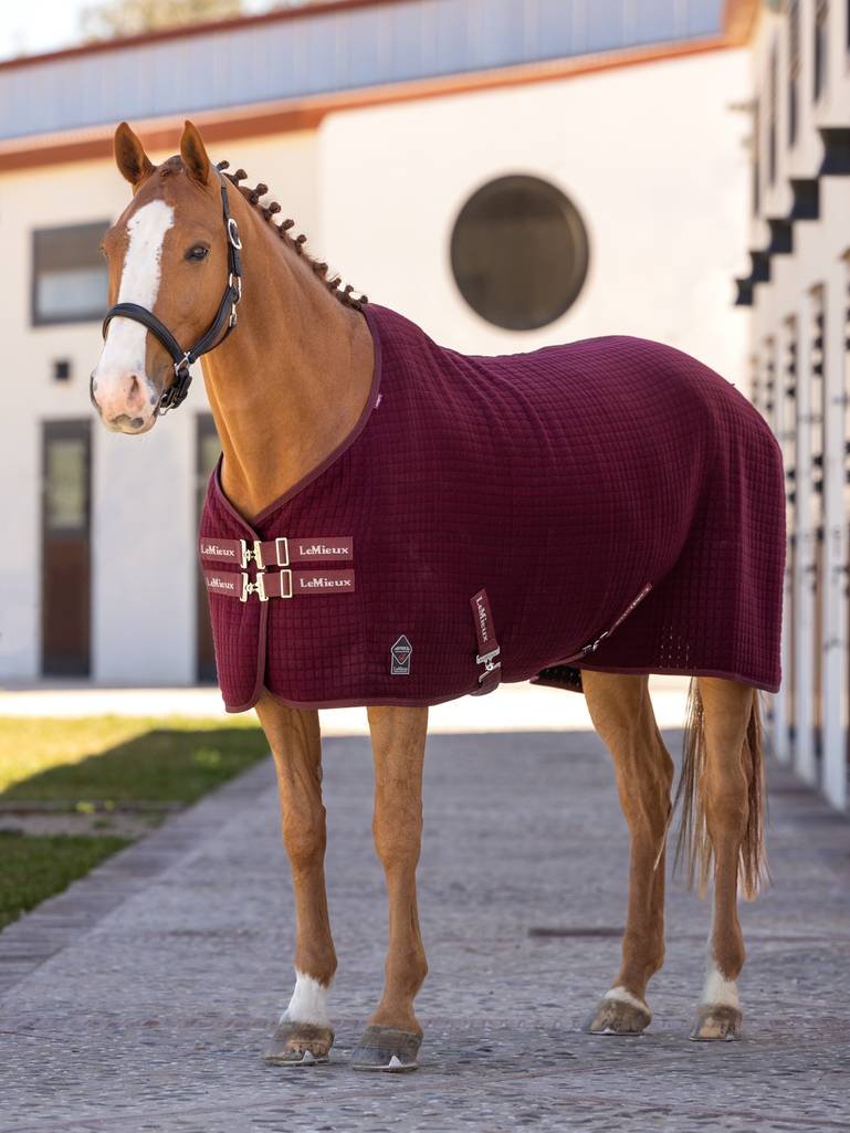 LeMieux-Arika-Clima-Tek-Rug---Burgundy
