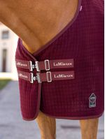LeMieux-Arika-Clima-Tek-Rug---Burgundy