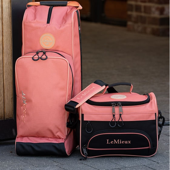 Lemieux-IT0425200-life
