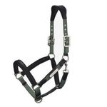 Lemieux-IT044960-Main
