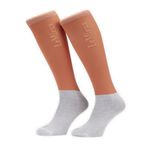 Lemieux-IT04314004-Main