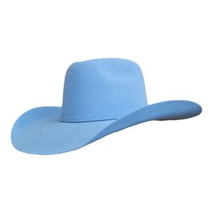 Gone Country Unisex American Felt Hat - Baby Blue