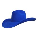 Gone-Country-Unisex-American-Felt-Hat---Royal-Blue