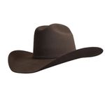 Gone-Country-Unisex-Yellowstone-Felt-Hat---Brown