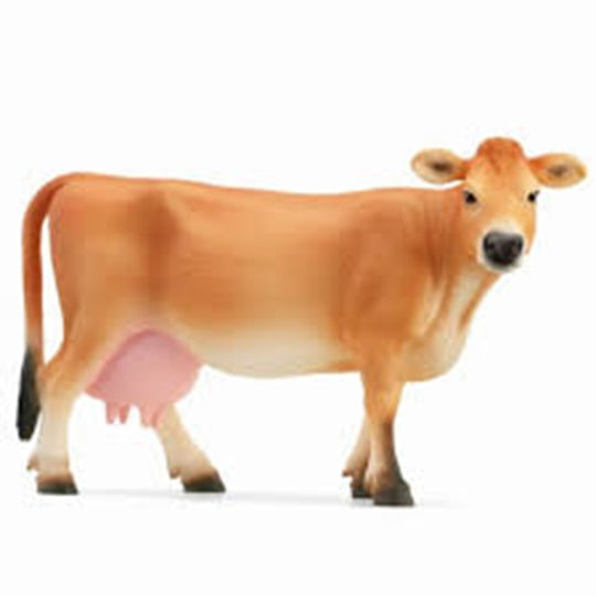 schleich-jersey-cow
