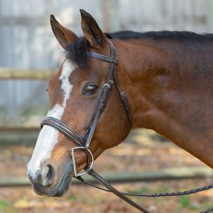 Horze Saga Wide Hunter Bridle With Reins