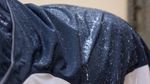 LeMieux-Arika-Shower-Tek-Fly-Rug---Grey---Navy